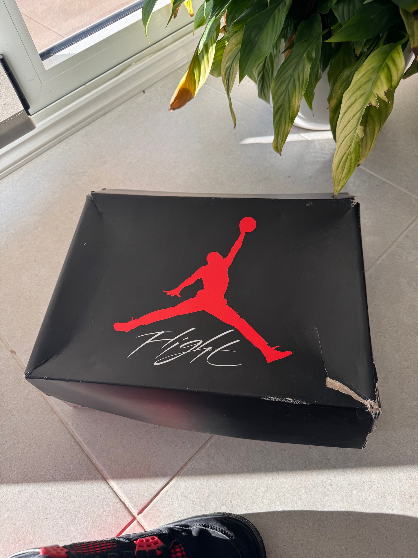 Jordan 4 Retro Red Thunder
