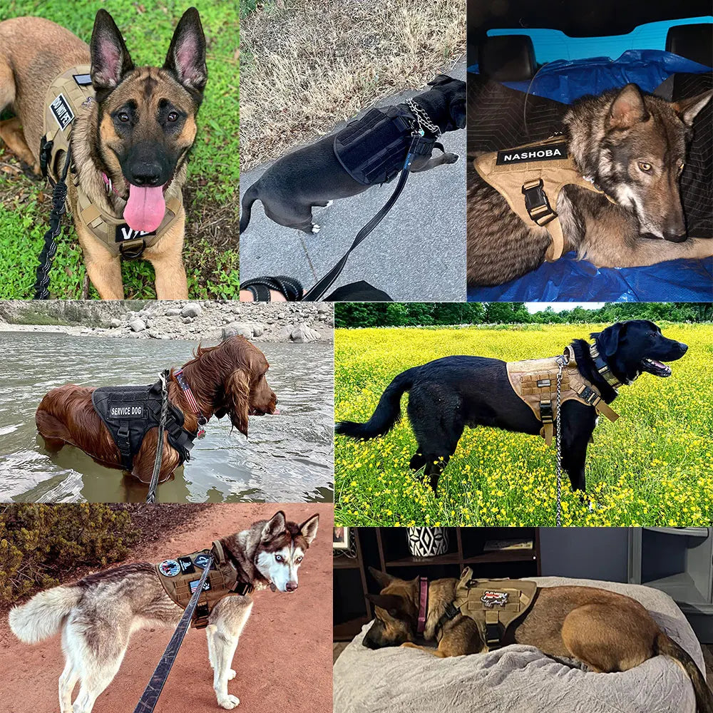 Heavy-Duty Tactical No-Pull Dog Harness Kit