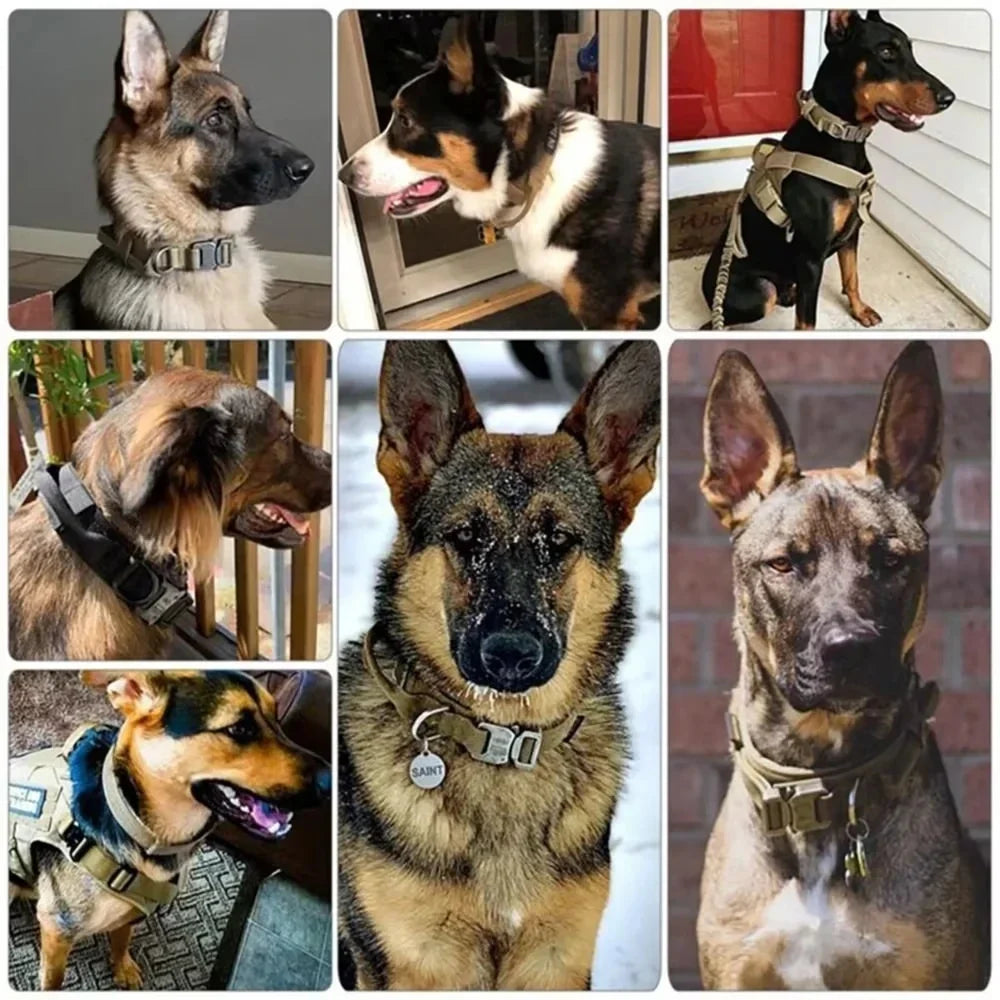 Tactical Adjustable Dog Collar with Handle – Military & Police Dog Collar, Durable Nylon, Quick Release