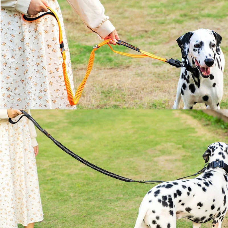 Heavy Duty Tactical Bungee Dog Leash with 2 Handles – K9 Training & Walking Leash for Large Dogs