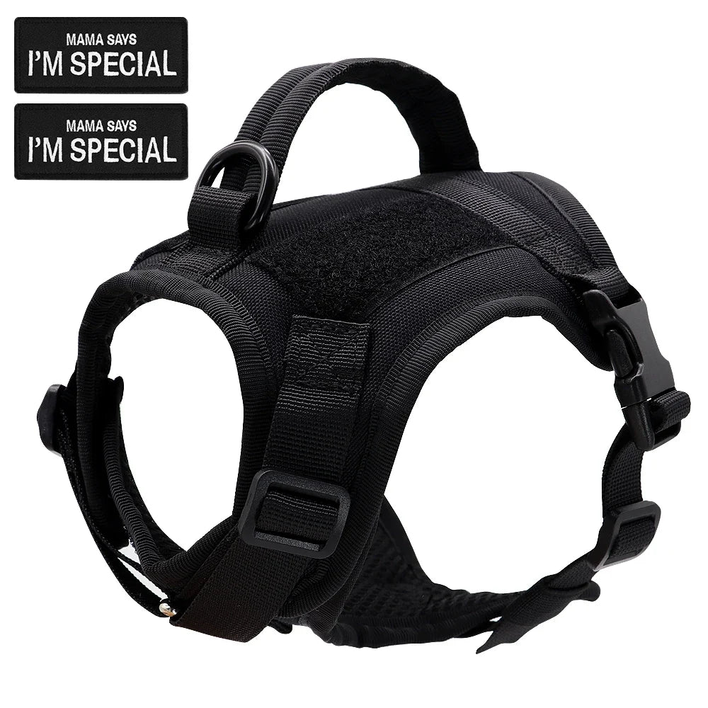 Cat Harness Vest – Tactical, Comfortable, Secure & Adventure-Ready with D-Ring Leash Clip