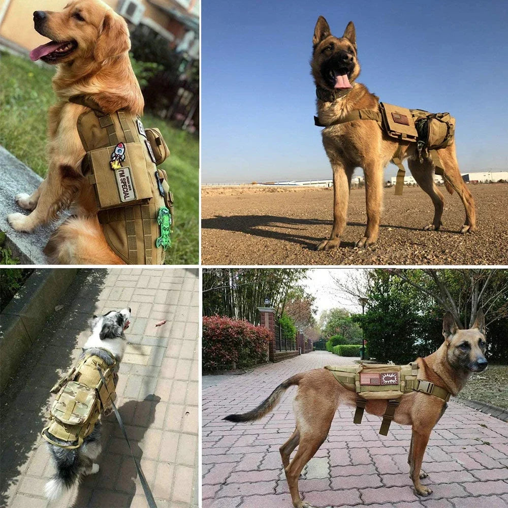 Dog Harness Patches – Hook & Loop Name Tags for Service Dogs, K9 & Emotional Support