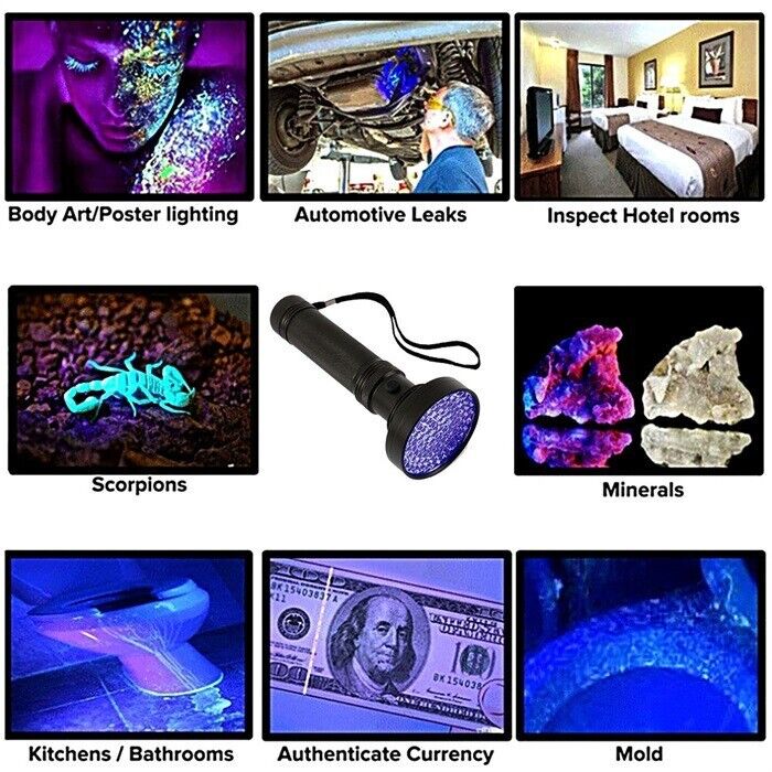 Super Bright UV Flashlight - 395nm Black light
