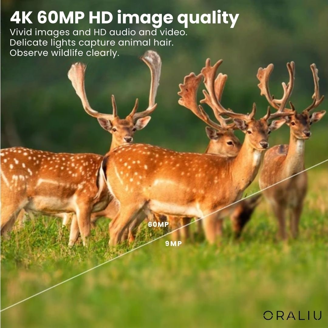 Cellular WIFI Trail Camera with Night Vision and Infrared LED for Wildlife Monitoring