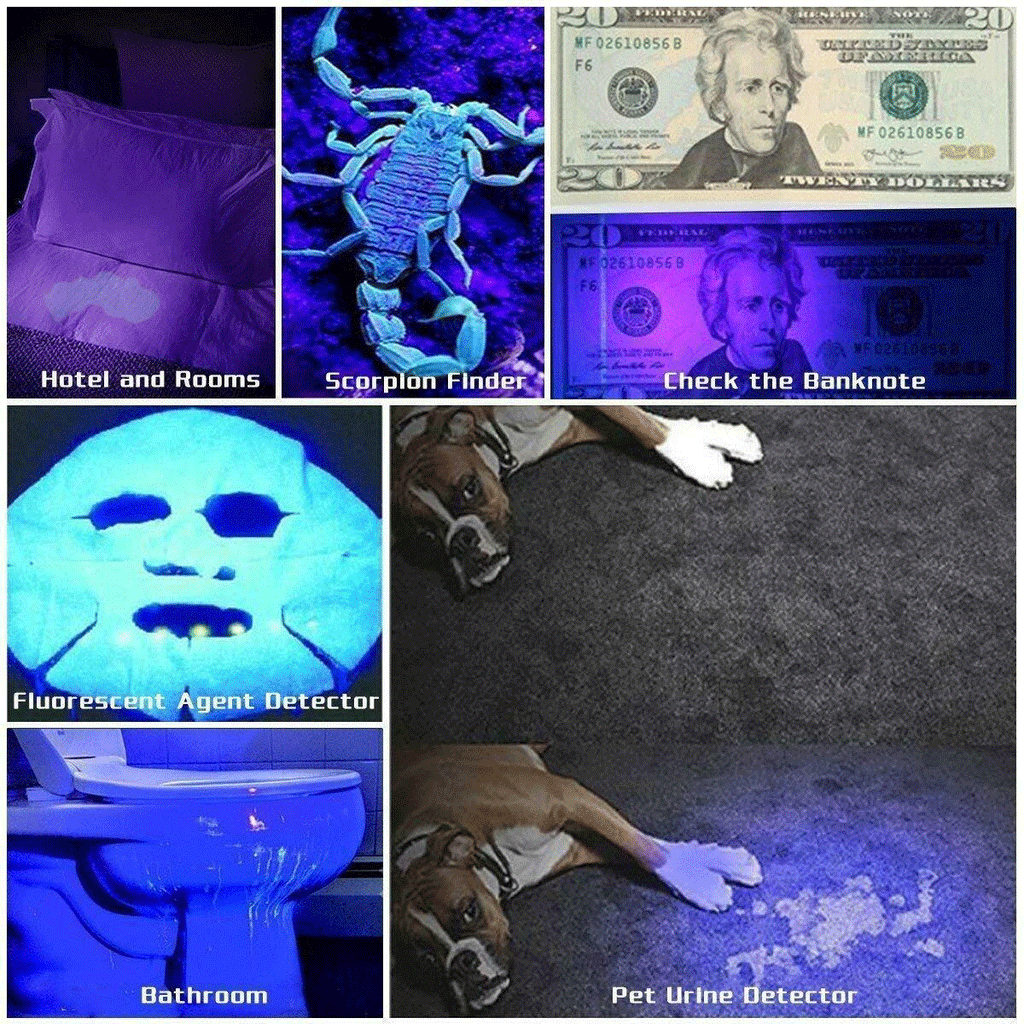 Super Bright UV Flashlight - 395nm Black light