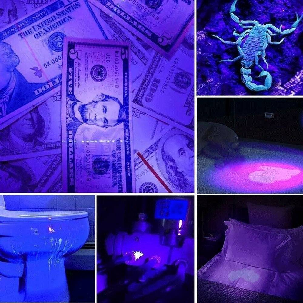 Super Bright UV Flashlight - 395nm Black light