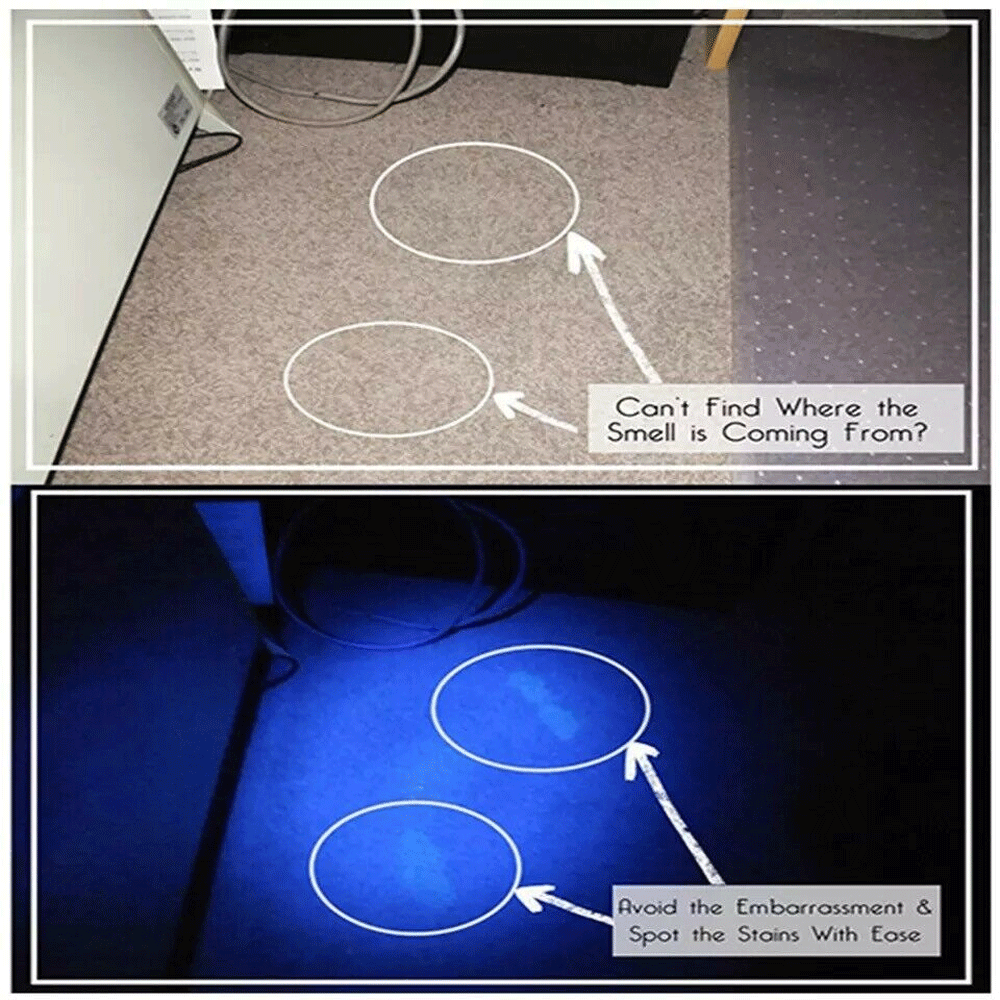 Super Bright UV Flashlight - 395nm Black light