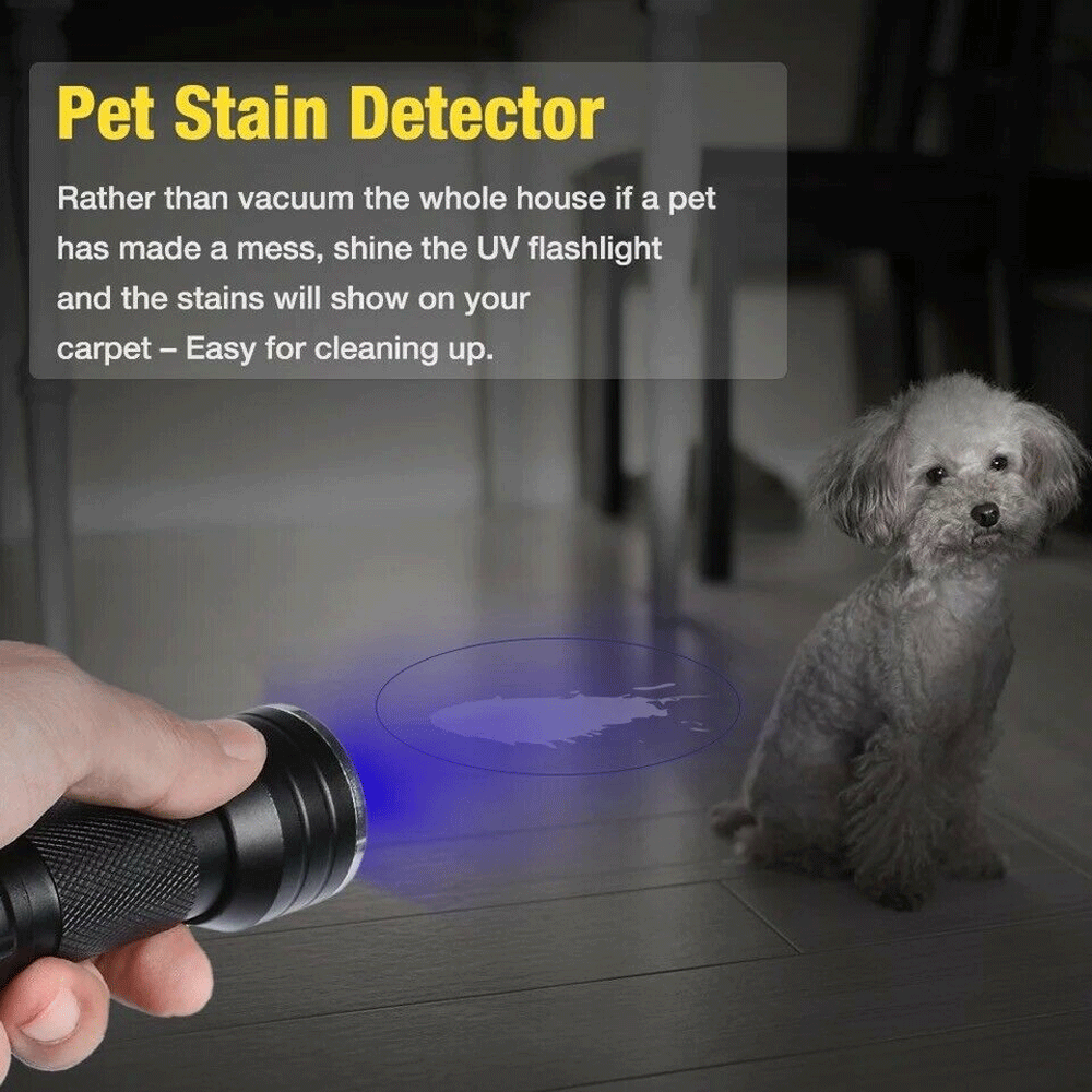Super Bright UV Flashlight - 395nm Black light