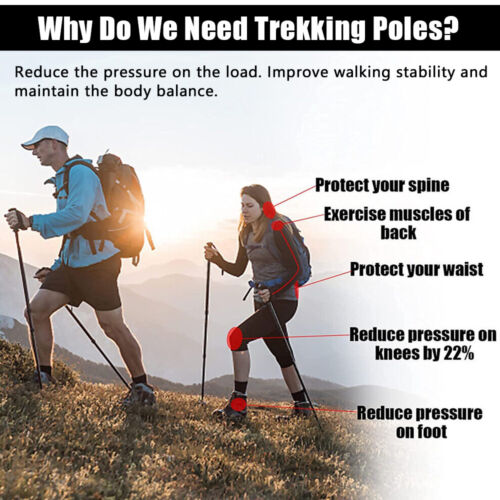 2X Trekking Poles Nordic Walking Sticks Adjustable Anti-shock Hiking Alpenstock