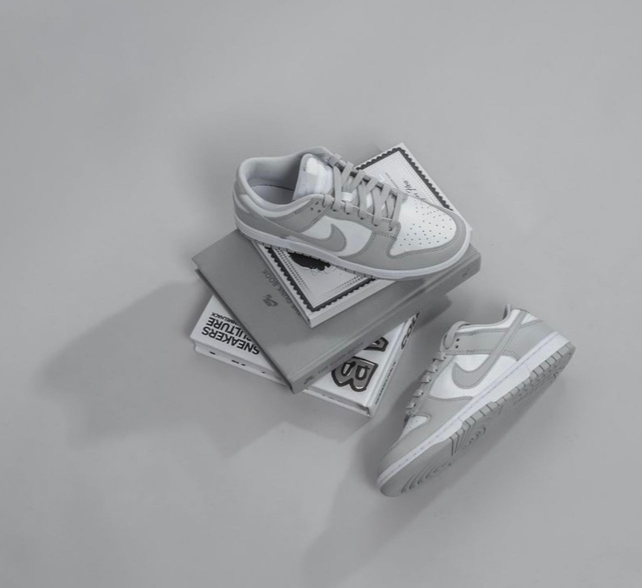 Nike Dunk Low Grey Fog M