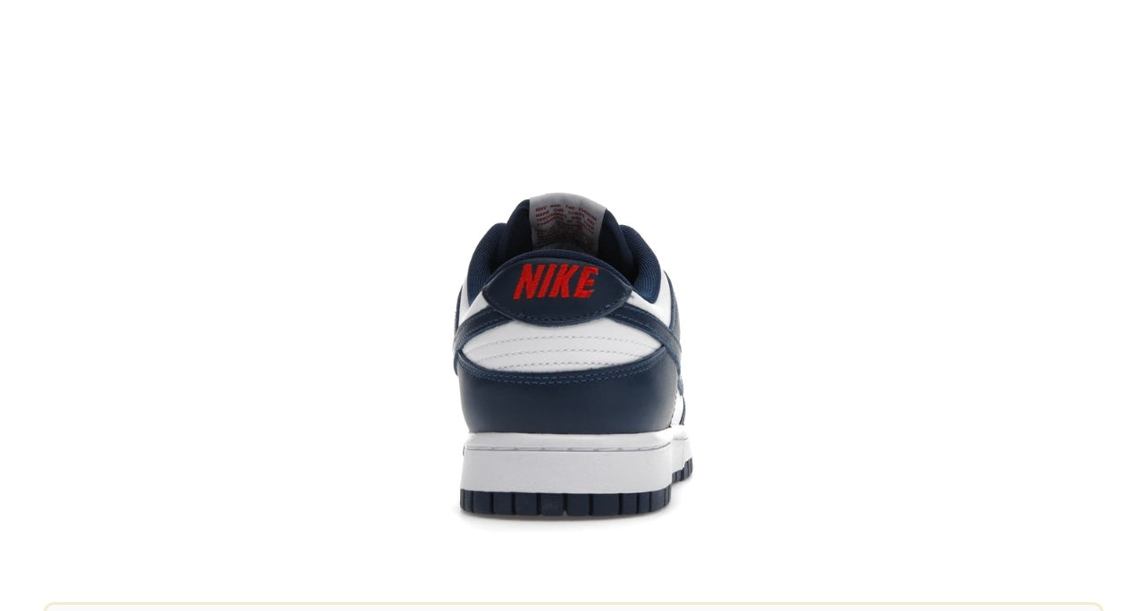 Nike Dunk Low Valerian Blue M