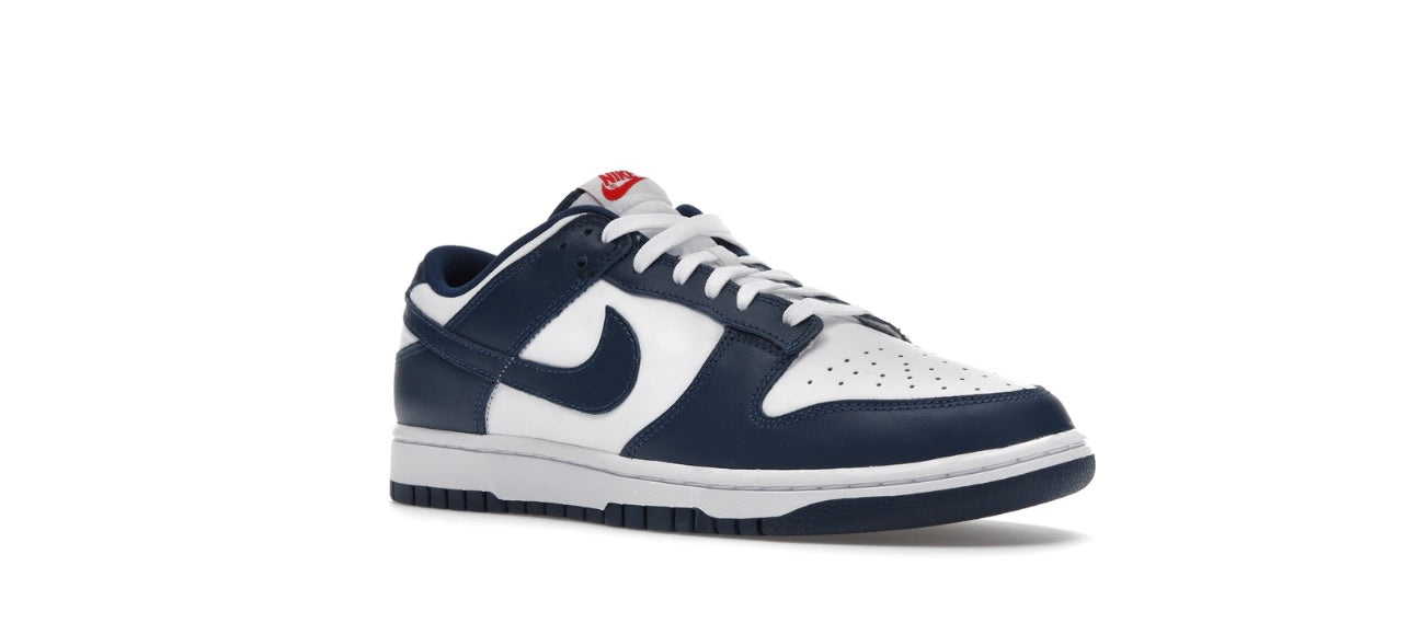 Nike Dunk Low Valerian Blue M